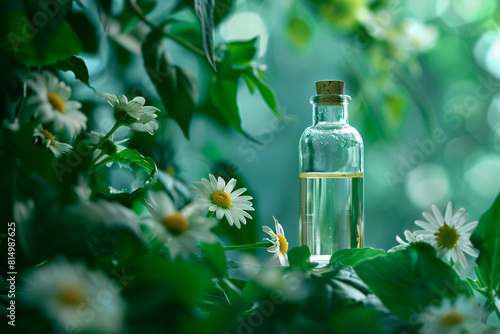 Bottle of chamomile tincture sits amidst blurred green leaves, with fresh chamomile flowers beside it, evoking natural tranquility.