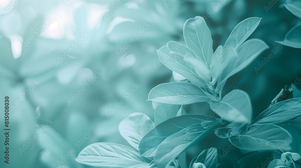 Background image, light blue tone, texture, design, pattern, image, border, ai, art, abstract Background image, light blue tone, texture, design, pattern, image, border, ai, art, abstract