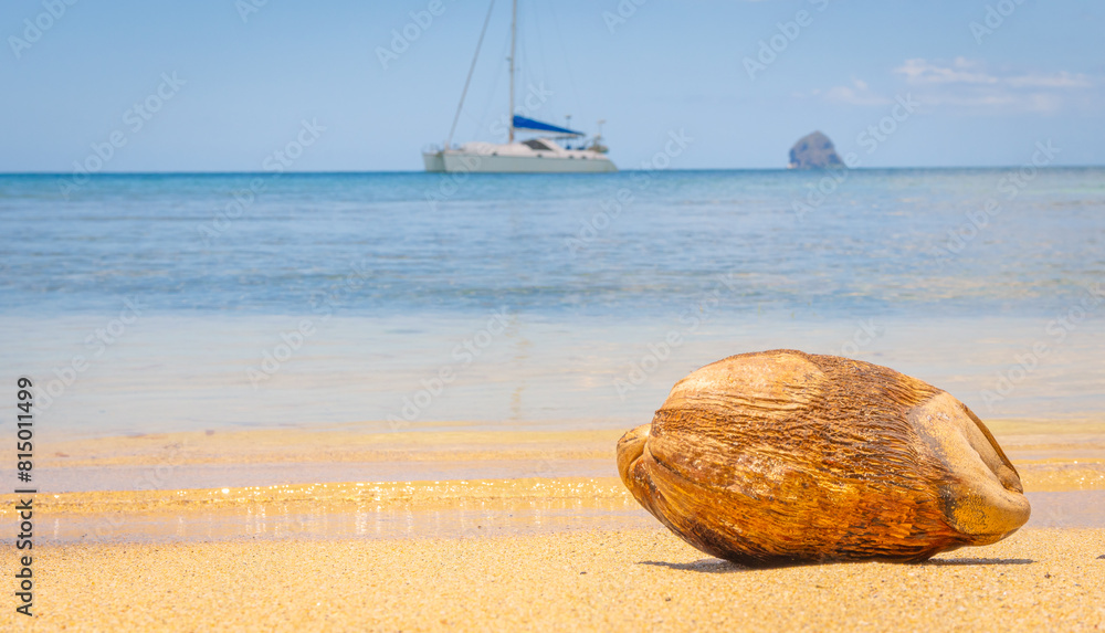 Obraz premium Vue d'une noix de coco et du rocher du Diamant en Martinique, Antilles Françaises. 