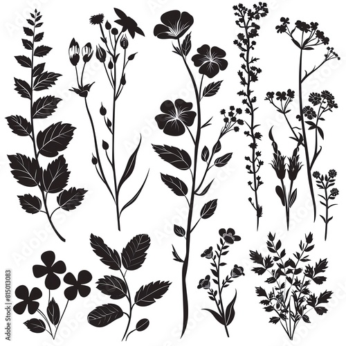 A set of silhouettes featuring leaves, flowers, and branches, capturing the essence of wild plants and garden flowers, all isolated on a white background.