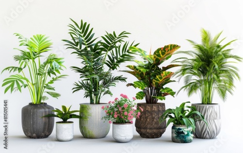 Assorted potted tropical houseplants with stylish planters.