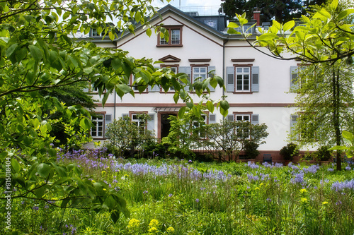 Wallpaper Mural Trees in front of white building in the Hermannshof Gardens in Weinheim, Germany. Torontodigital.ca