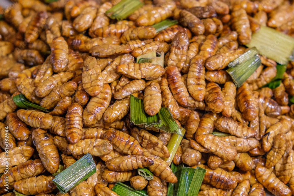 fried insect larvae, asian exotic street food, selective focus fried insect larvae, asian exotic street food, selective focus