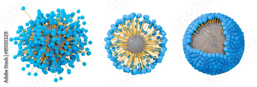 Soap molecules surrounding and capturing dirt froming micelles. The hydrophobic tail is attracted to grease and oily substances and the hydrophilic head is attracted to water. 3d illustration