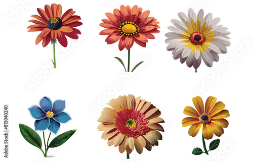 set of flowers beauty 