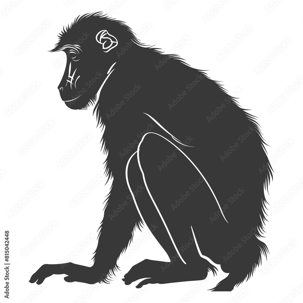 Silhouette Proboscis monkey animal black color only Silhouette Proboscis monkey animal black color only