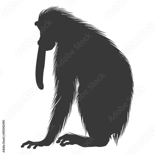 Silhouette Proboscis monkey animal black color only photo