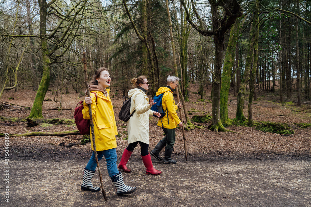 Group of friends walking with backpacks in forest. Trekking travel in adventure lifestyle, nature hiking in vacation holiday with journey. Tourism, hiking, and friendship concept. Outdoor activities. Group of friends walking with backpacks in forest. Trekking travel in adventure lifestyle, nature hiking in vacation holiday with journey. Tourism, hiking, and friendship concept. Outdoor activities.