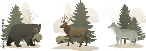 Wild animal in the forest composition set. Animals in nature vector illustration on white background. Landscape elements include trees, bear, elk, wolf. © Anastasiia Neibauer