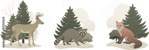Wild animal in the forest composition set. Animals in nature vector illustration on white background. Landscape elements include trees, deer, raccoon, fox. © Anastasiia Neibauer
