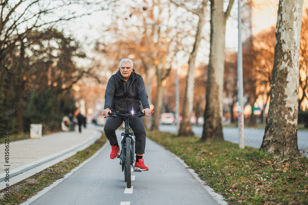 Obraz premium Man Riding Bicycle Down Tree-Lined Street