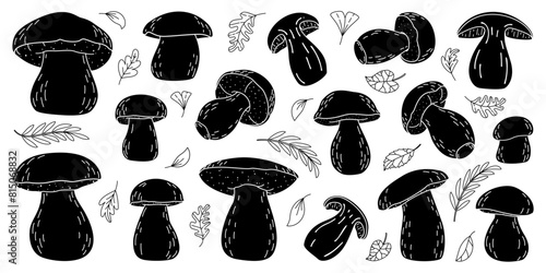 Porcini forest Boletus mushrooms silhouette set. Hand drawn boletus edulis fungus. Porcini fresh edible mushrooms silhouette icons. Cep. King bolete black on white Penny bun Vector illustration