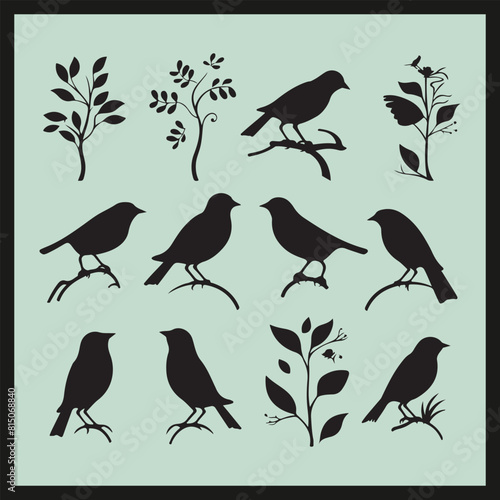 Bird SET black Silhouette vector