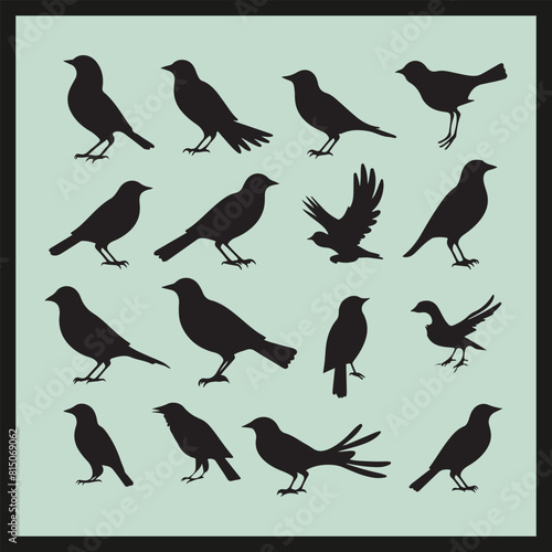 Bird SET black Silhouette vector