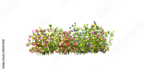 3D Render Flower Garden on Transparent Background