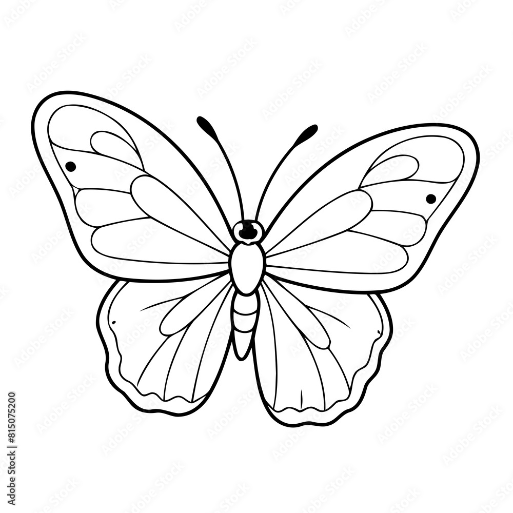 Adorable Butterfly drawing for children books Adorable Butterfly drawing for children books