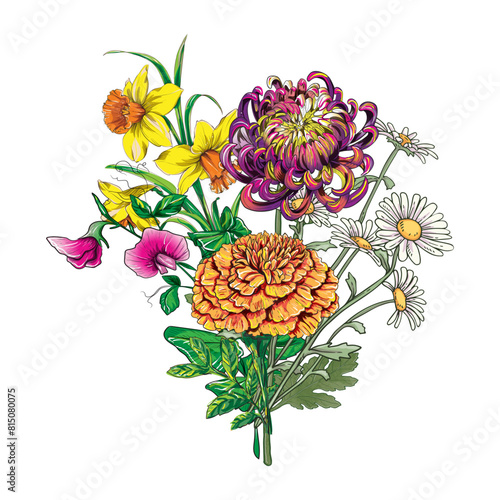 Hand drawing Bouquet vector illustration flower  (ID: 815080075)