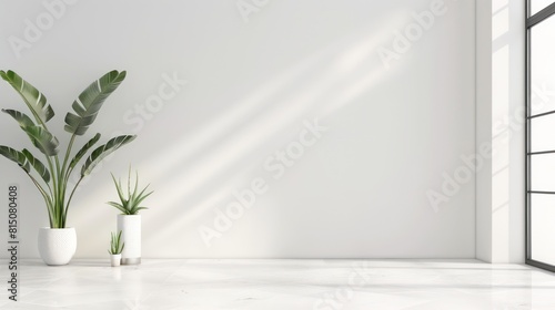 Two potted plants placed indoors with sunlight casting shadows on a white, minimalist backdrop