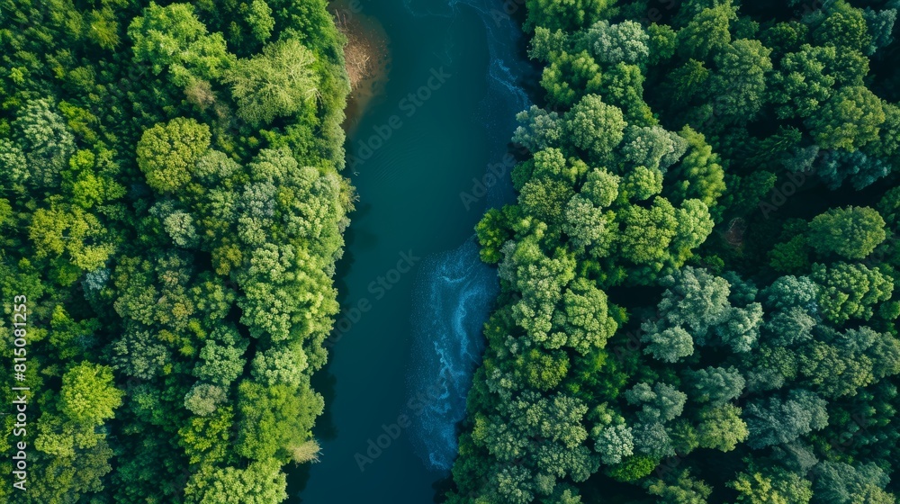Aerial View of a Serene Forest Landscape Generative AI