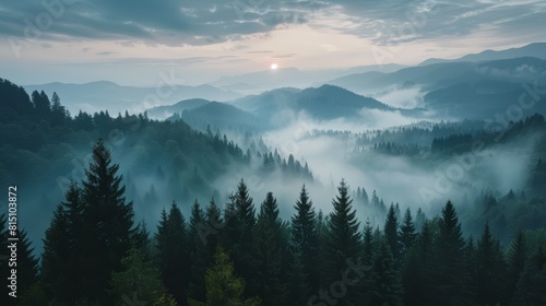 Mystical forest landscape with dense fog and layered mountain backdrop at twilight. © AIS Studio