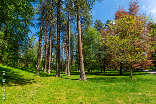 Trees, grass and walking paths at the central park area of the 90 acre Manito Park and Botanical Gardens in the South Hill district near downtown Spokane, Washington. photo