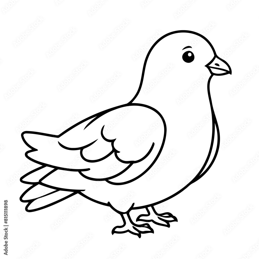 Obraz premium Simple vector illustration of pigeon colouring page for kids