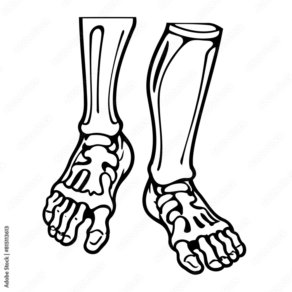 Simple vector illustration of Skeleton hand drawn for toddlers Simple vector illustration of Skeleton hand drawn for toddlers