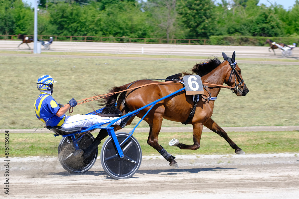 Racing horses trots and rider on a track of stadium. Competitions for trotting horse racing. Horses compete in harness racing. Horse runing at the track with rider.
Racing horses trots and rider on a track of stadium. Competitions for trotting horse racing. Horses compete in harness racing. Horse runing at the track with rider.
