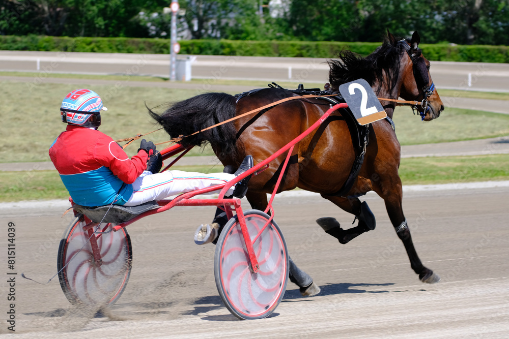 Racing horses trots and rider on a track of stadium. Competitions for trotting horse racing. Horses compete in harness racing. Horse runing at the track with rider.
Racing horses trots and rider on a track of stadium. Competitions for trotting horse racing. Horses compete in harness racing. Horse runing at the track with rider.