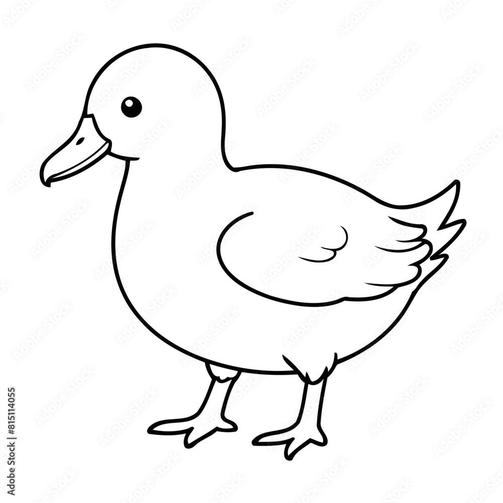 Simple vector illustration of Albatrosse drawing colouring activity Simple vector illustration of Albatrosse drawing colouring activity