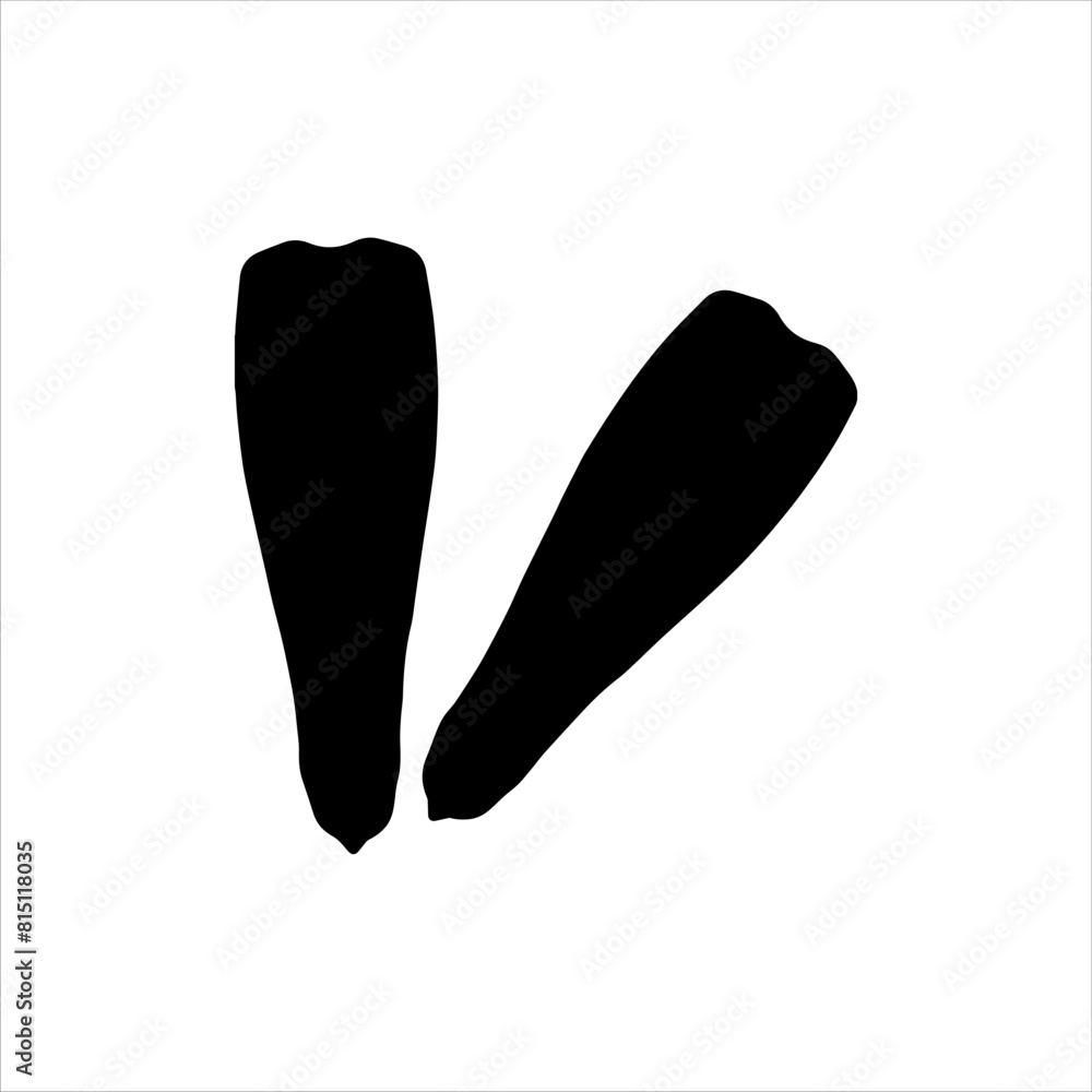 Flippers silhouette icon vector illustration isolated on white background