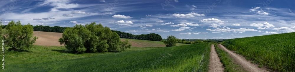 Wide panorama of landscape fields of Ukraine.Field, dirt road along the field.Green, spring fields of Ukraine. Wide panorama of landscape fields of Ukraine.Field, dirt road along the field.Green, spring fields of Ukraine.