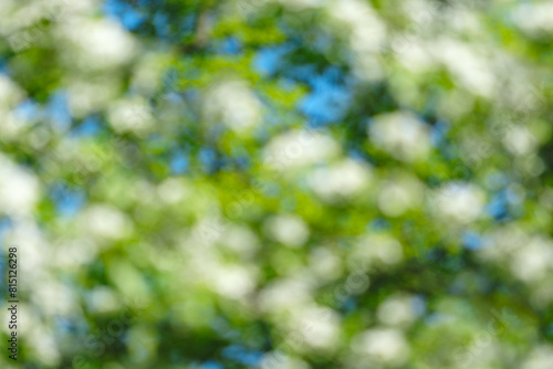 A blurry image of green leaves and a blue sky. The leaves are in motion, giving the impression of a windy day. The sky is clear and bright, creating a sense of calm and tranquility