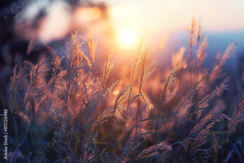 A field of tall grass swaying in the wind, with each blade forming a delicate line against the backdrop of the setting sun, creating a scene of tranquility and serenity. photo