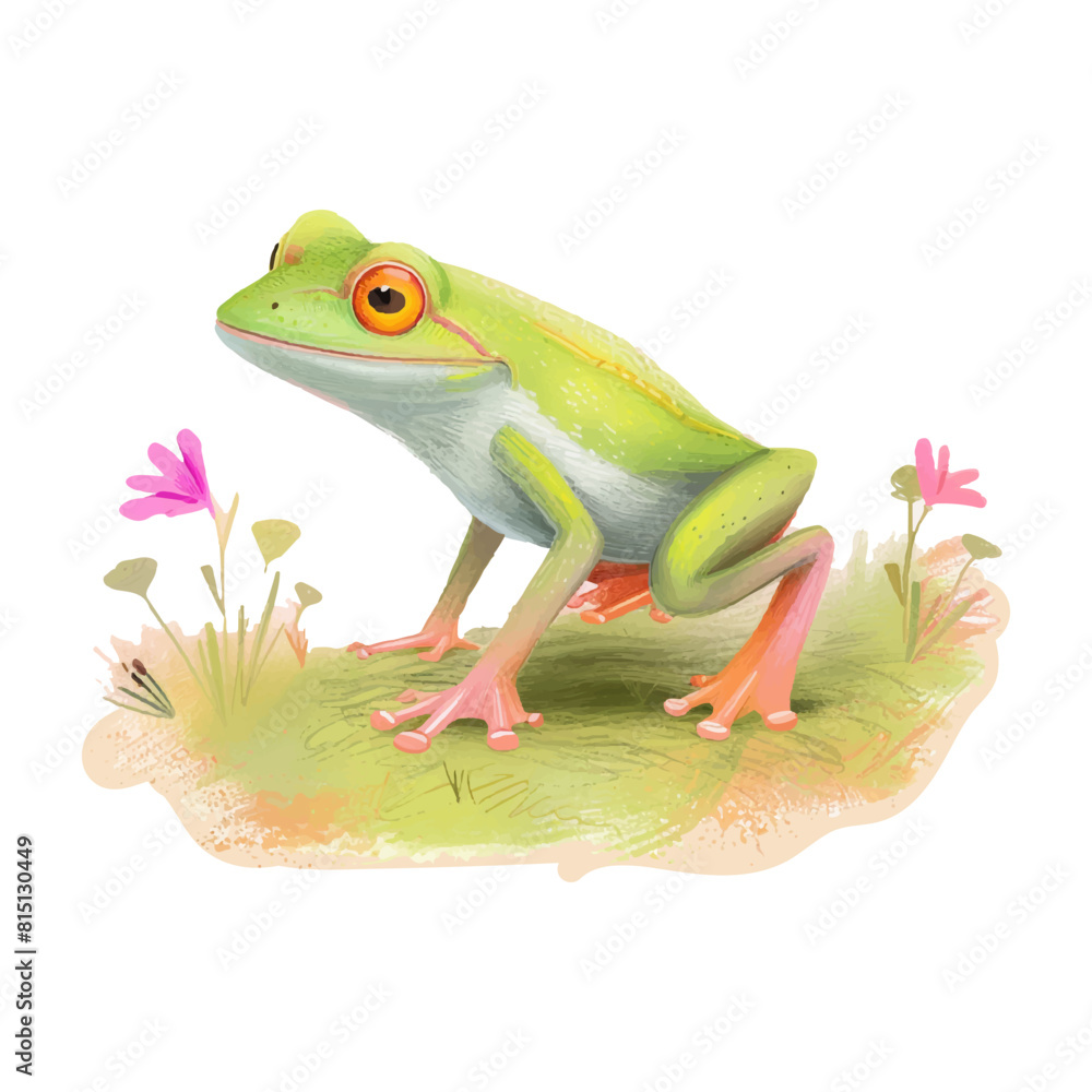 Fototapeta premium watercolor green frog white background (3)