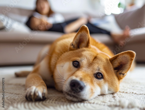 A dog laying on the floor with a woman in the background.