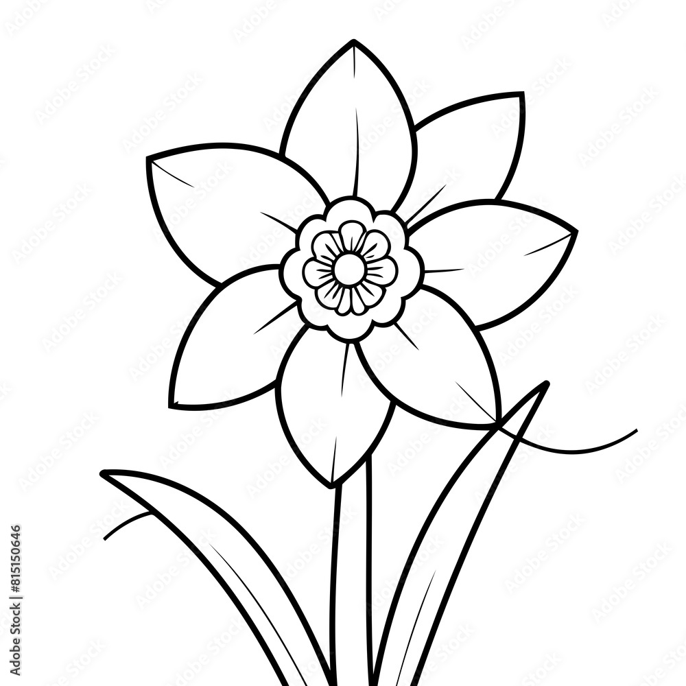 Vector illustration of a cute Daffodil drawing colouring activity Vector illustration of a cute Daffodil drawing colouring activity