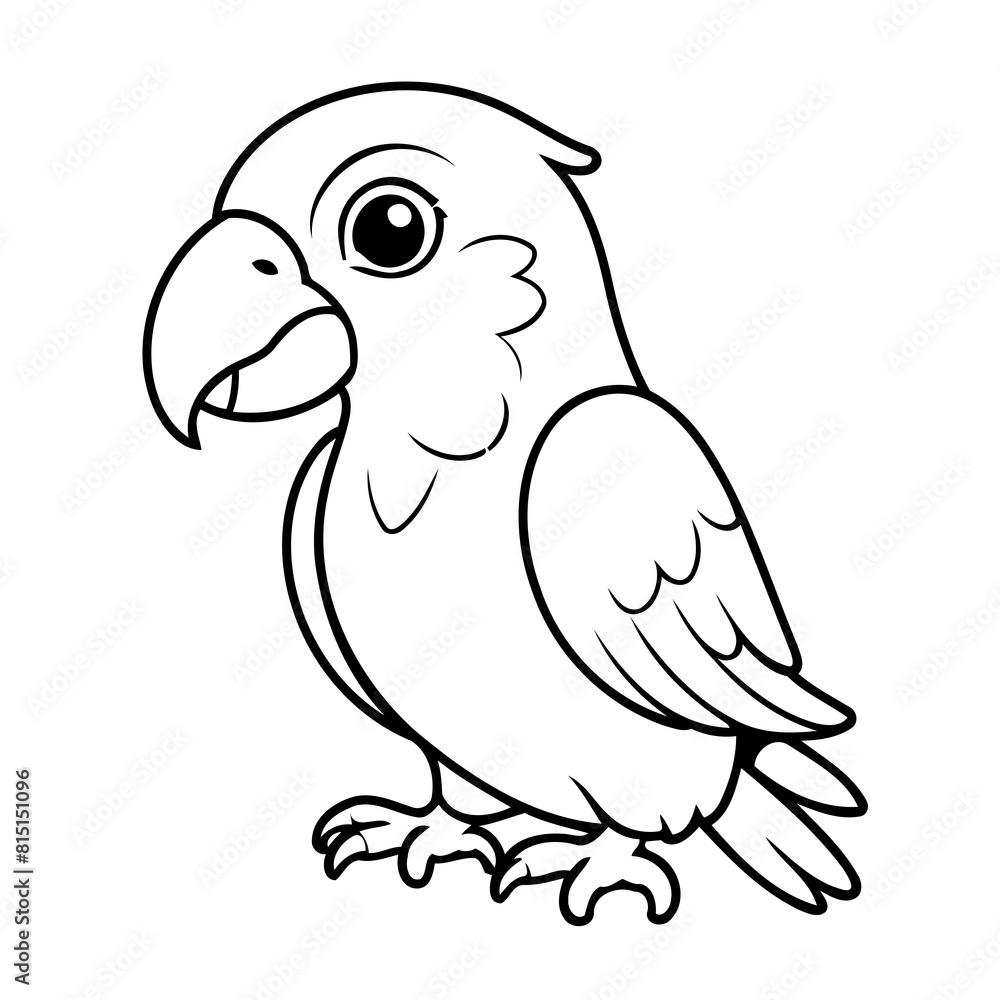 Cute vector illustration Parrot drawing for colouring page Cute vector illustration Parrot drawing for colouring page