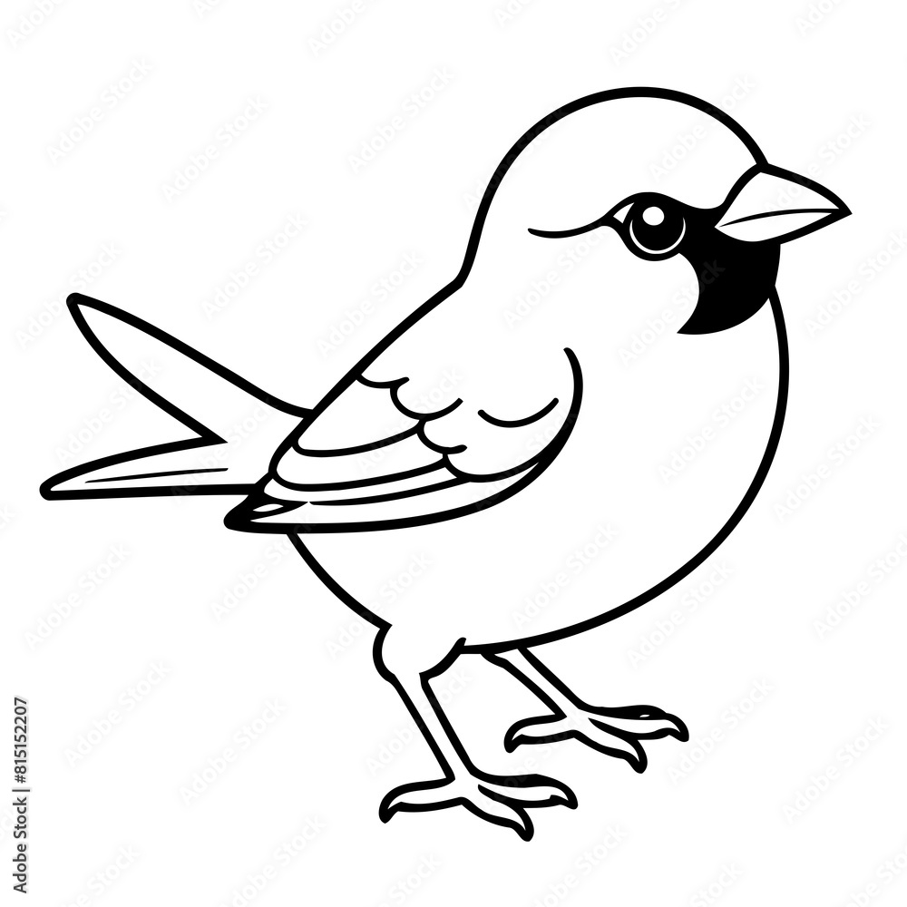 Simple vector illustration of Sparrow for kids colouring worksheet Simple vector illustration of Sparrow for kids colouring worksheet