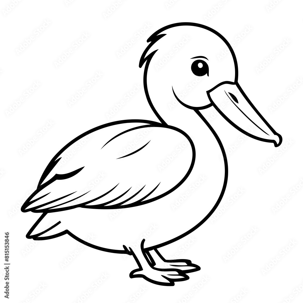 Cute vector illustration Pelican for kids colouring worksheet Cute vector illustration Pelican for kids colouring worksheet