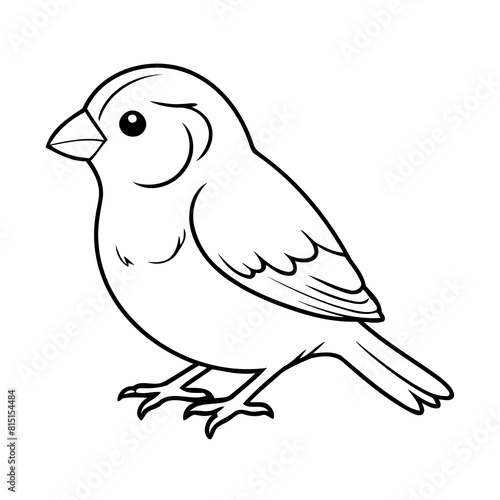 Simple vector illustration of Finch drawing for children page