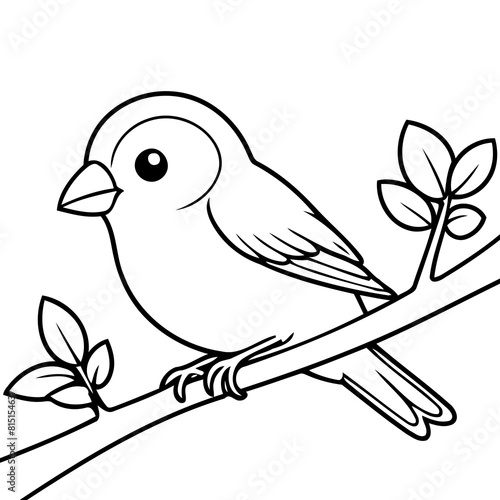Simple vector illustration of Finch for kids coloring page