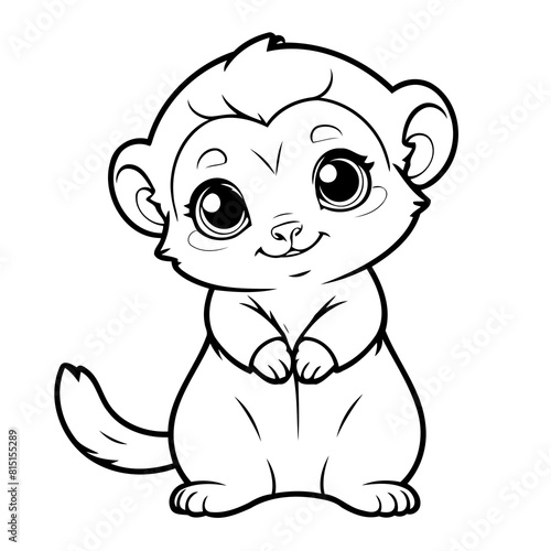 Cute vector illustration Marmoset doodle colouring activity for kids
