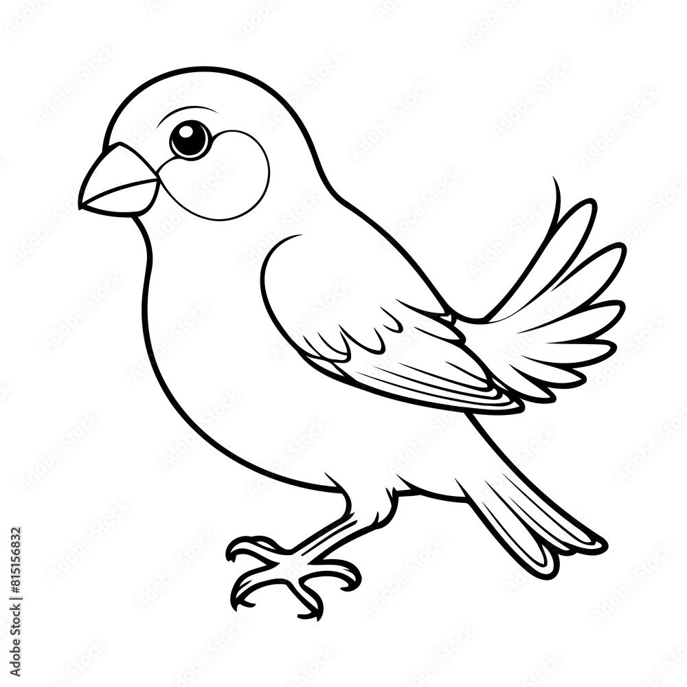 Simple vector illustration of Finch hand drawn for kids page Simple vector illustration of Finch hand drawn for kids page