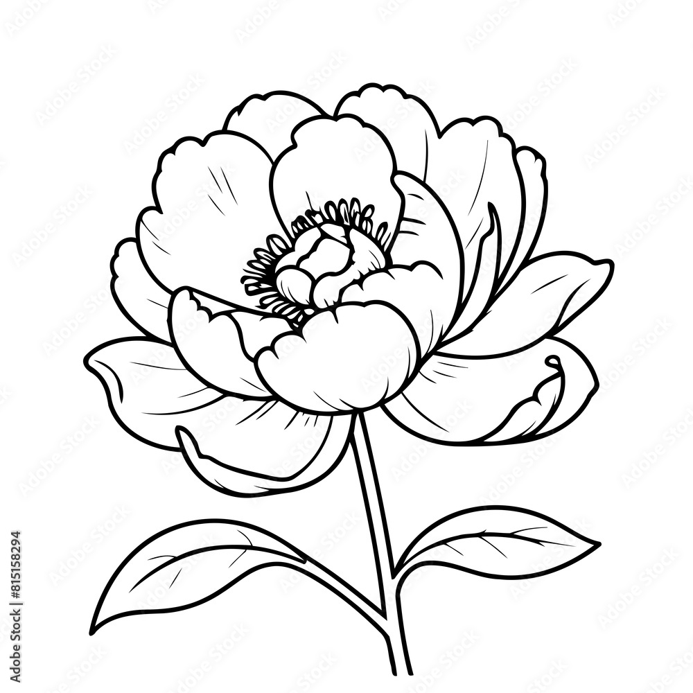 Simple vector illustration of Peony for toddlers colouring page Simple vector illustration of Peony for toddlers colouring page