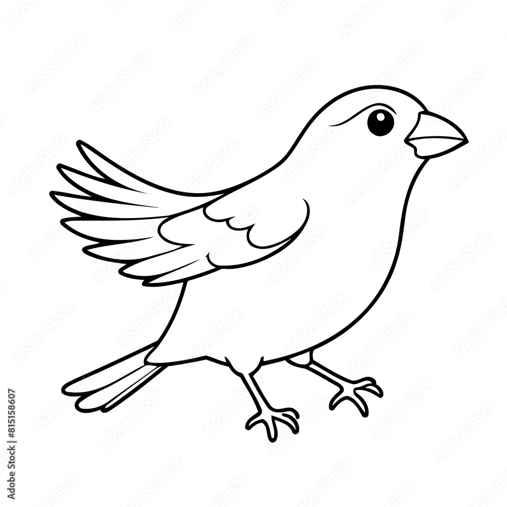 Cute vector illustration Finch hand drawn for kids page Cute vector illustration Finch hand drawn for kids page