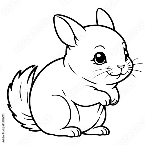 Vector illustration of a cute Chinchilla drawing for kids page