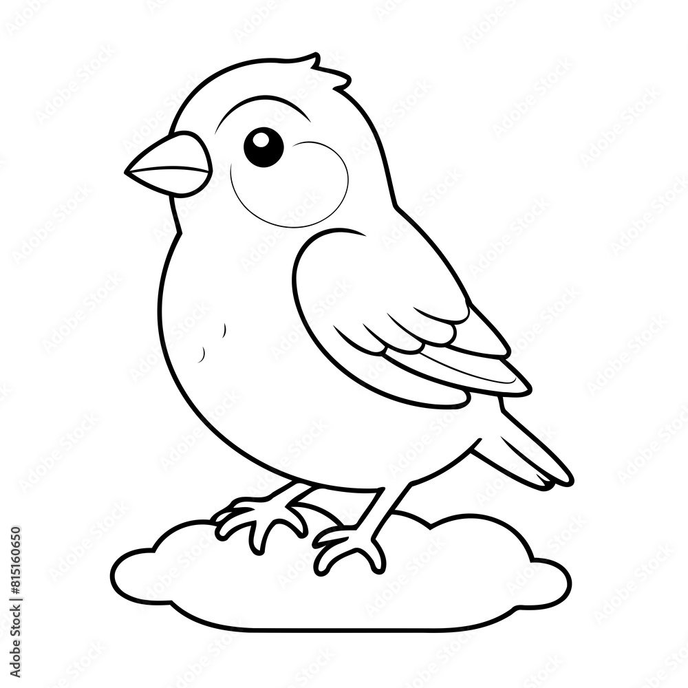 Obraz premium Simple vector illustration of Finch drawing for kids colouring page