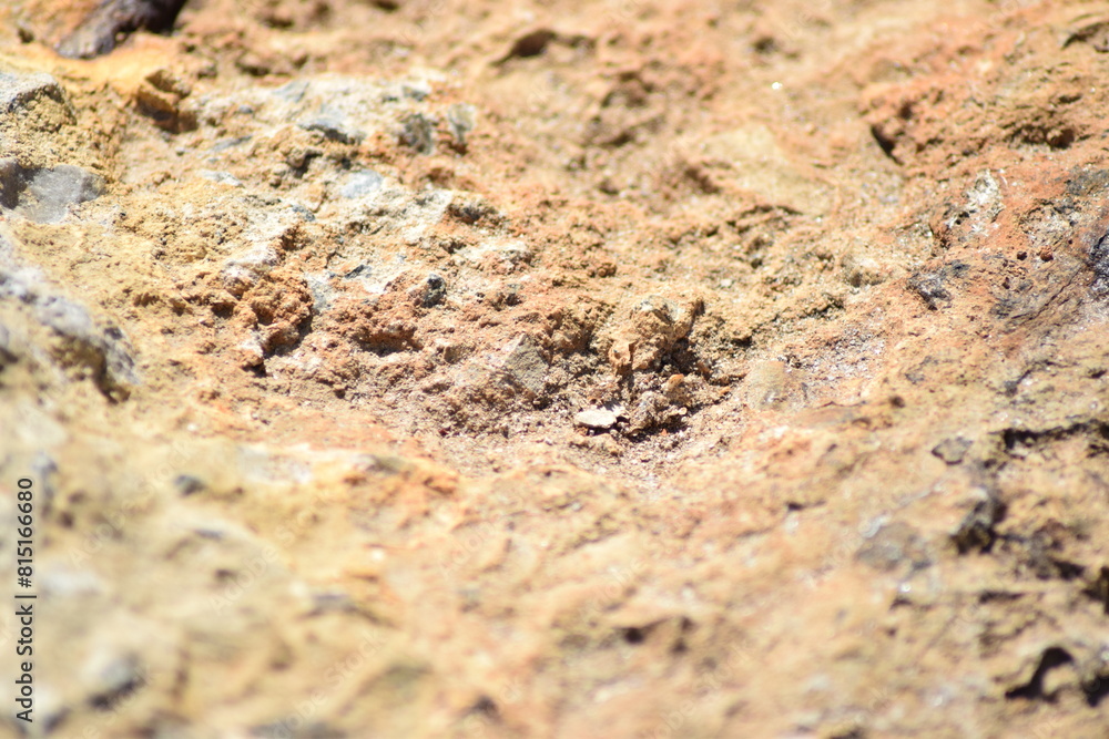 Sand ground background pattern Sand ground background pattern