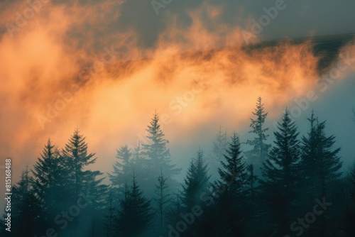 Trees And Clouds. Aethereal Fog Over Silhouetted Forest at Sunset in Scottish Highlands © Web